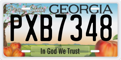 GA license plate PXB7348