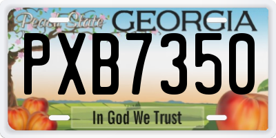 GA license plate PXB7350