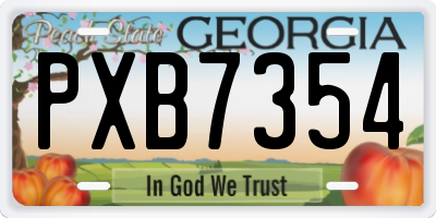 GA license plate PXB7354