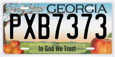 GA license plate PXB7373