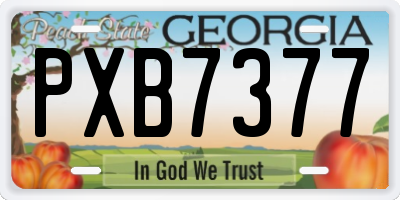 GA license plate PXB7377