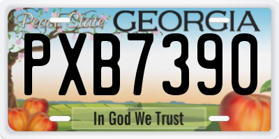 GA license plate PXB7390