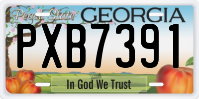 GA license plate PXB7391