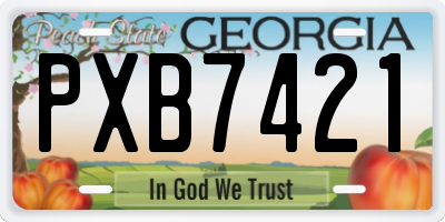 GA license plate PXB7421