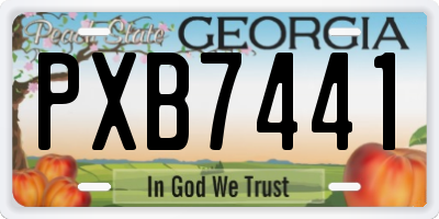 GA license plate PXB7441