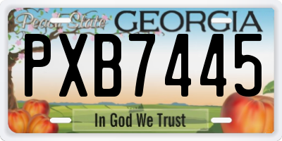 GA license plate PXB7445
