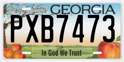 GA license plate PXB7473