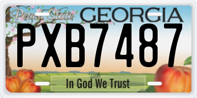 GA license plate PXB7487