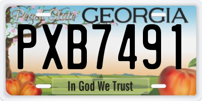 GA license plate PXB7491
