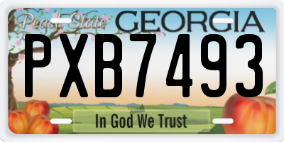 GA license plate PXB7493