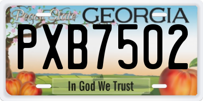 GA license plate PXB7502