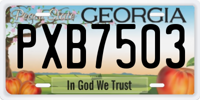 GA license plate PXB7503