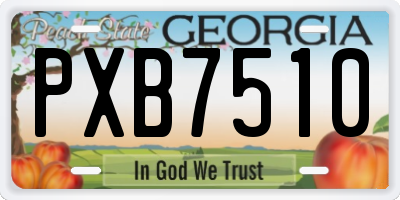 GA license plate PXB7510