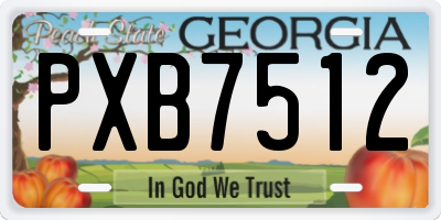 GA license plate PXB7512