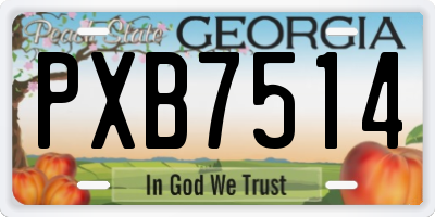 GA license plate PXB7514