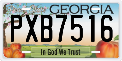 GA license plate PXB7516