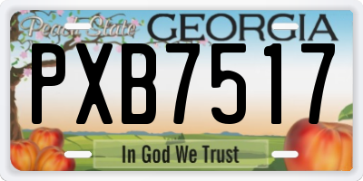 GA license plate PXB7517