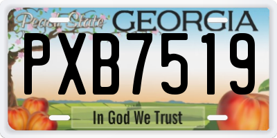 GA license plate PXB7519