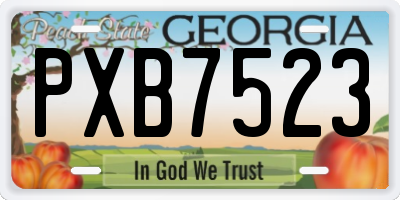 GA license plate PXB7523