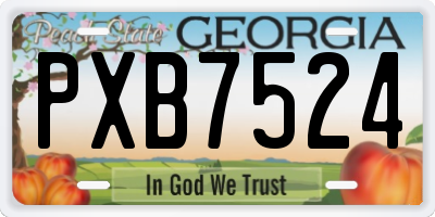 GA license plate PXB7524