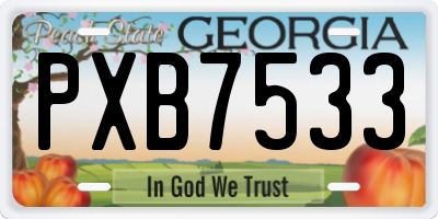GA license plate PXB7533