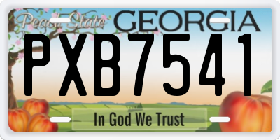 GA license plate PXB7541