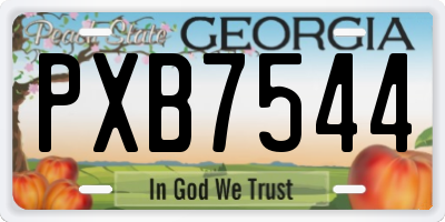 GA license plate PXB7544