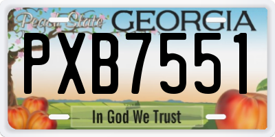GA license plate PXB7551