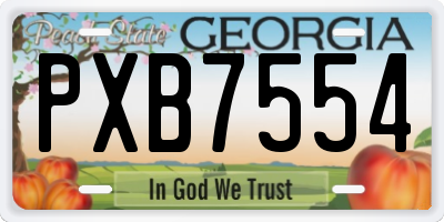 GA license plate PXB7554