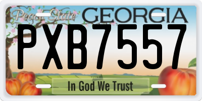 GA license plate PXB7557