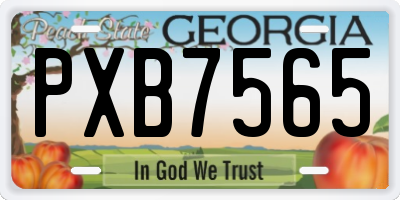 GA license plate PXB7565