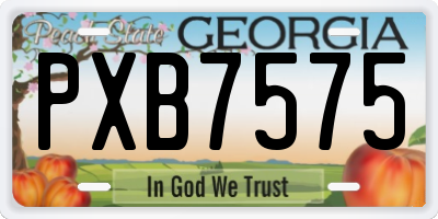 GA license plate PXB7575