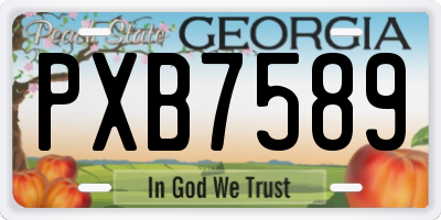 GA license plate PXB7589