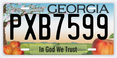 GA license plate PXB7599