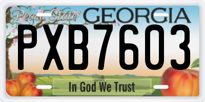GA license plate PXB7603