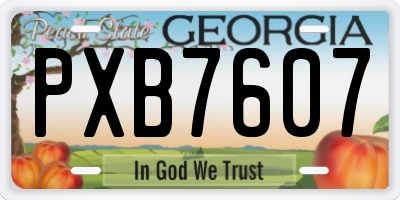 GA license plate PXB7607