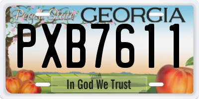 GA license plate PXB7611