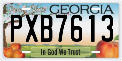 GA license plate PXB7613