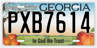 GA license plate PXB7614