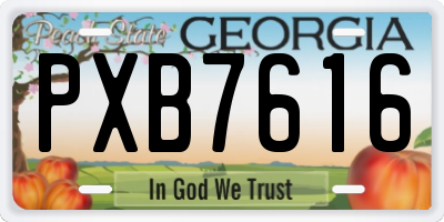 GA license plate PXB7616