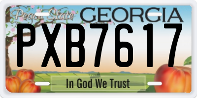 GA license plate PXB7617