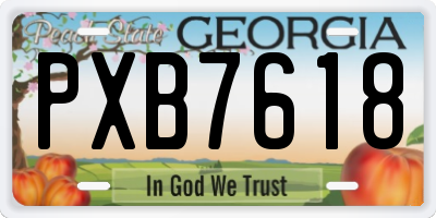 GA license plate PXB7618