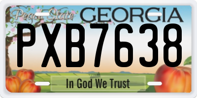 GA license plate PXB7638
