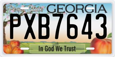 GA license plate PXB7643