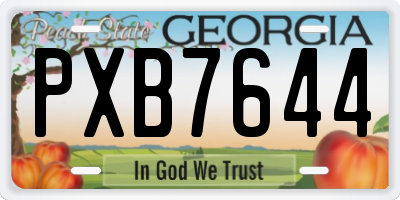 GA license plate PXB7644