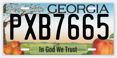 GA license plate PXB7665