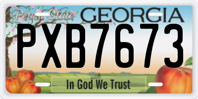 GA license plate PXB7673