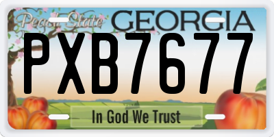GA license plate PXB7677