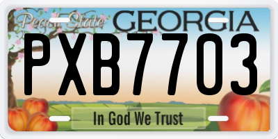 GA license plate PXB7703