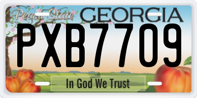 GA license plate PXB7709